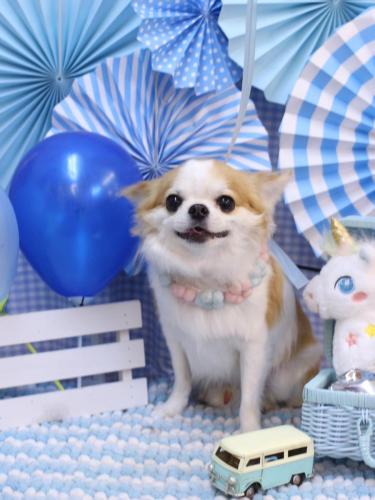 20231123くうくん